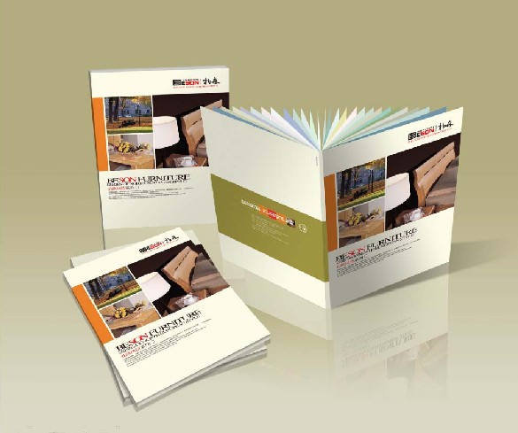 企業(yè)畫(huà)冊(cè)印刷 企業(yè)畫(huà)冊(cè)印刷