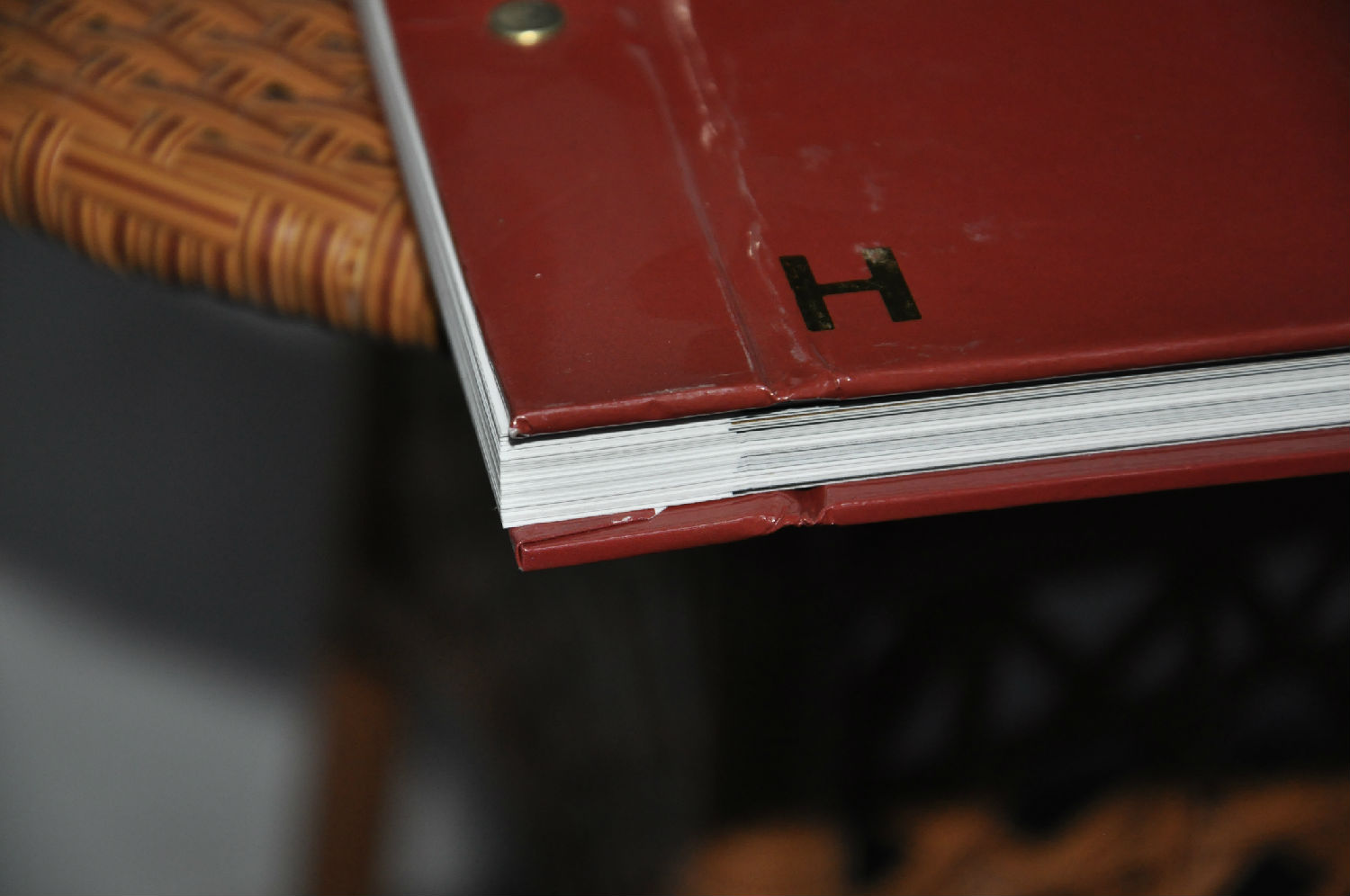 _DSC0013.jpg _DSC0013.jpg