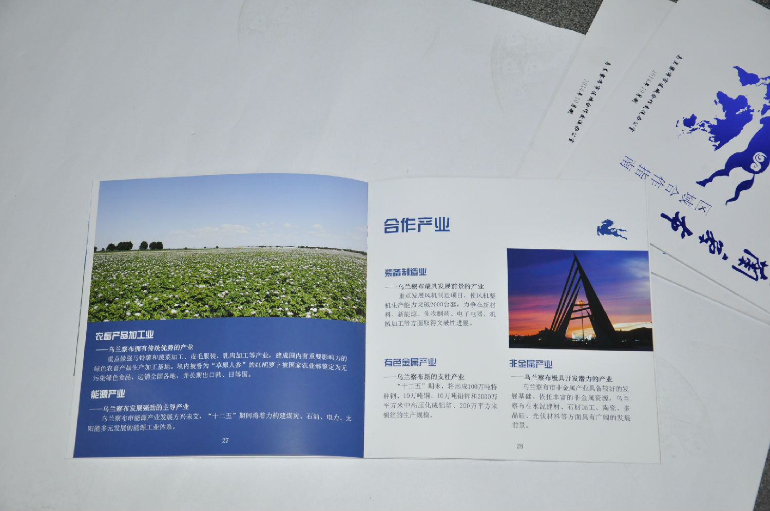 畫(huà)冊(cè)印刷 畫(huà)冊(cè)印刷