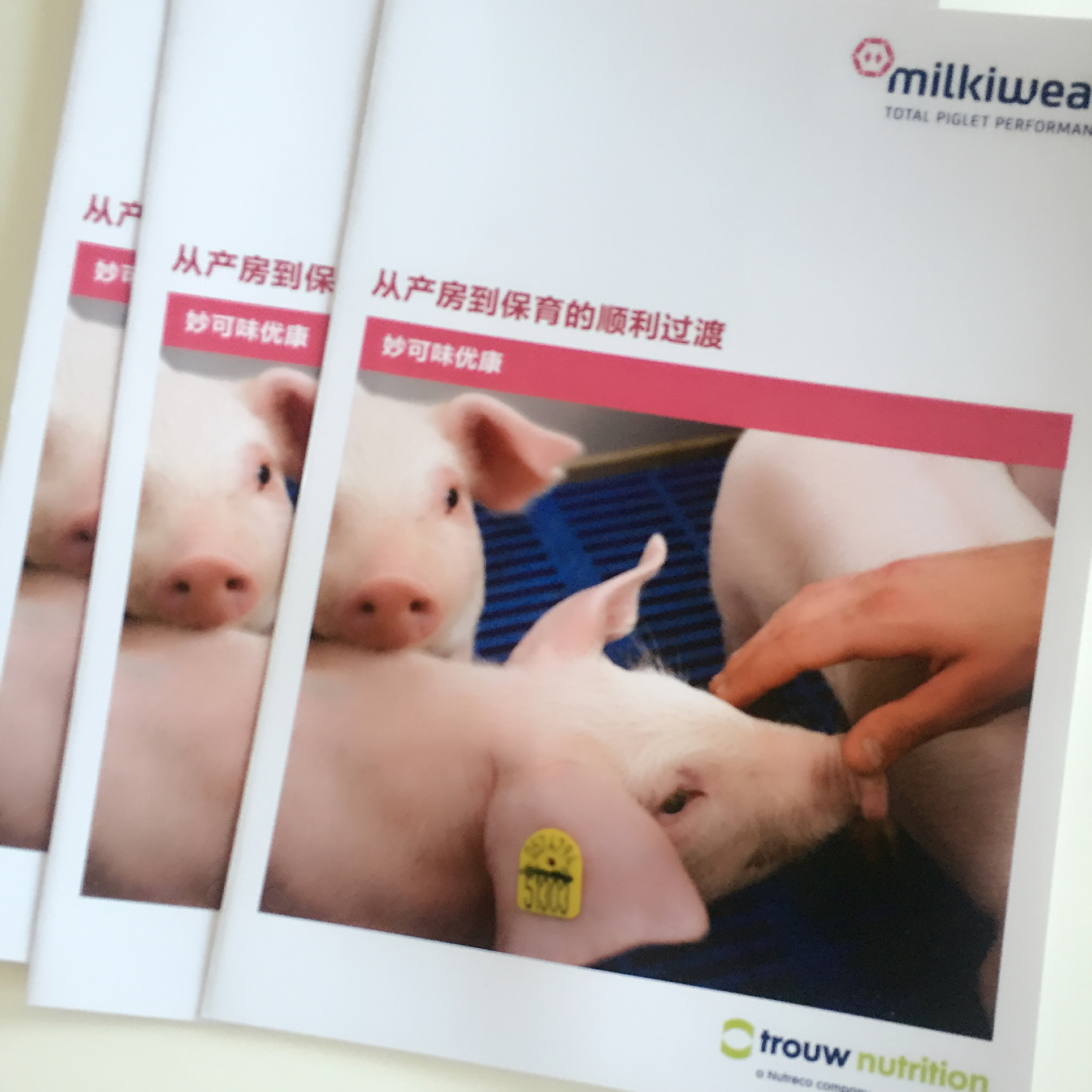 折頁印刷廠-豪彩佳印