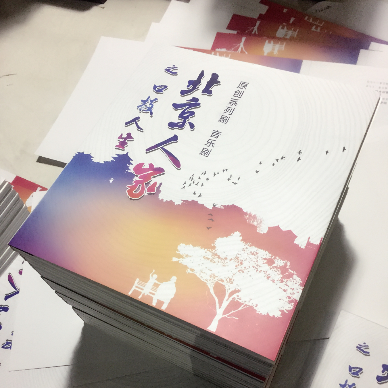 北京企業(yè)畫冊印刷廠