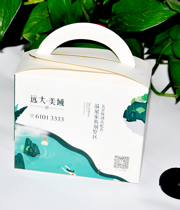 遠(yuǎn)大美域包裝盒
